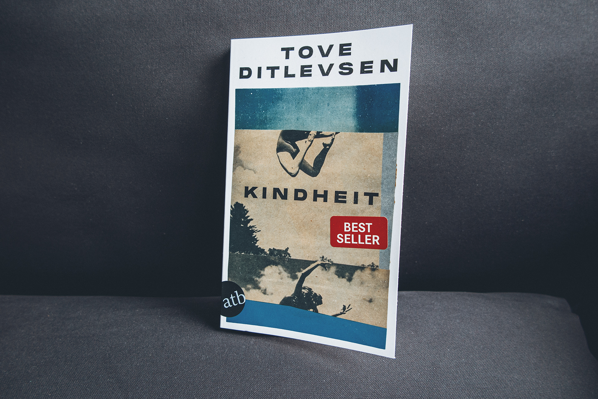 tove ditlevsen kindheit buch