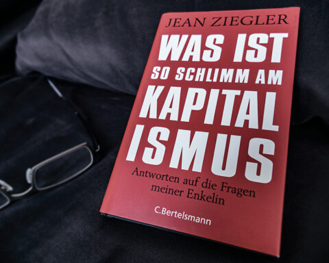 Was ist so schlimm am Kapitalismus - Buchempfehlung